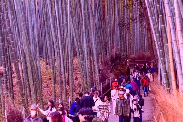 Riley, 35 — Escort in Arashiyama, Japan