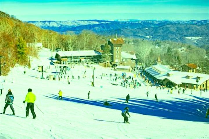 Riley, 35 — Escort in Beech Mountain Lakes, United States