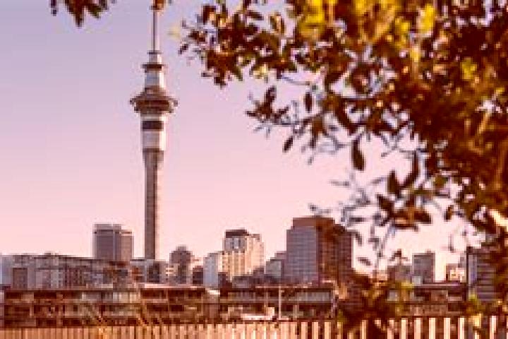 Riley, 35 — Escort in New Auckland, Australia