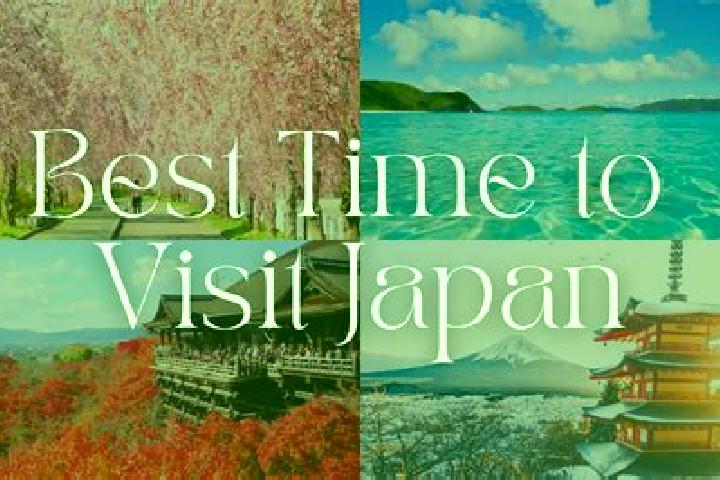 Riley, 35 — Escort in Saki, Japan