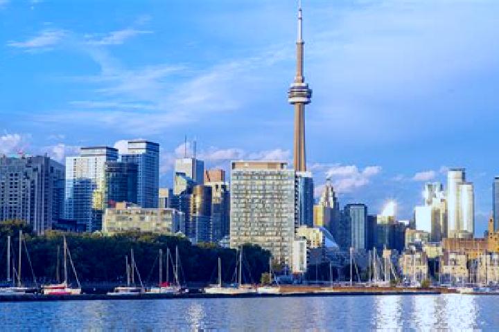 Riley, 35 — Escort in Toronto, Australia