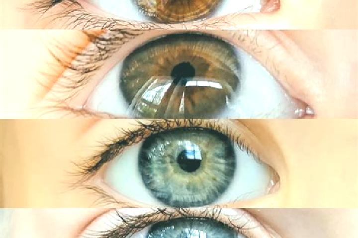 Riley, 36, a chestnut dark-eyed mixed companion based in Mbrati. Offering Domination, Prostate Massage, GFE. Available for incall and outcall, day and evenin...
