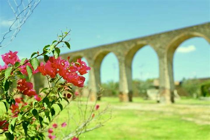 Riley, 36 — Escort in El Saucillo de Primavera, Mexico