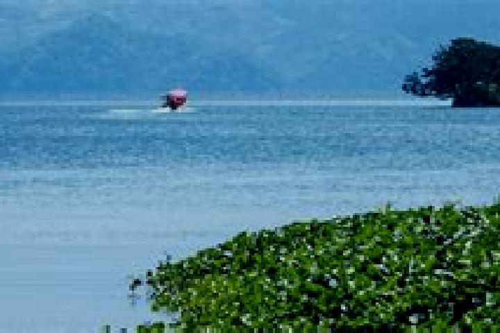 Riley, 36 — Escort in San Juan Seco de Valencia, Mexico