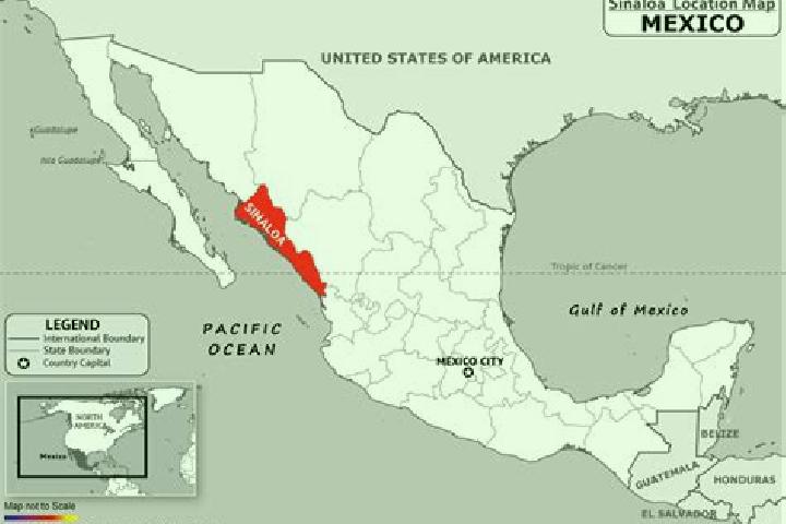 Riley, 36 — Escort in Sinaloa, Mexico