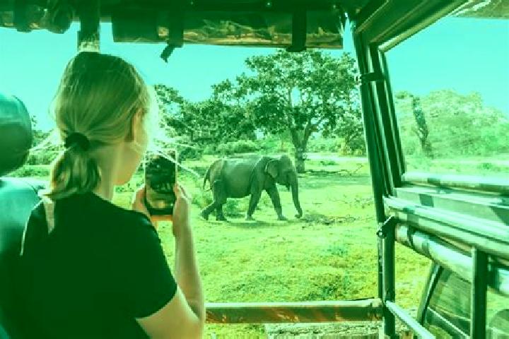 Riley, 36 — Escort in Usa River, Tanzania