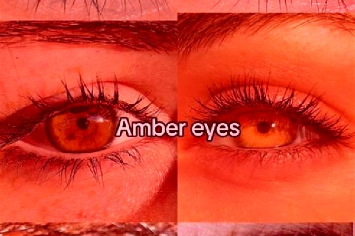 Riley, 37, a chestnut amber-eyed middle eastern companion based in Schwellbrunn. Offering A-Level, Tantra, Roleplay, 69, CIM. Available for incall and outcal...