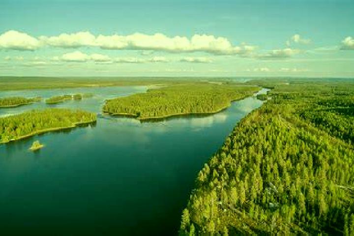 Riley, 37 — Escort in Lieksa, Finland