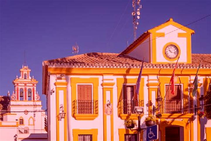 Riley, 37 — Escort in Mairena del Aljarafe, Spain