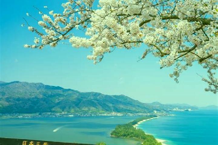 Riley, 37 — Escort in Miyazu, Japan