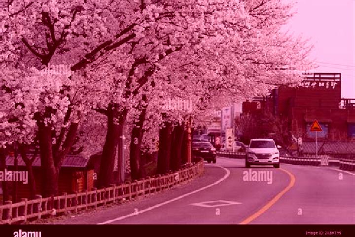 Riley, 37 — Escort in Sangju, South Korea