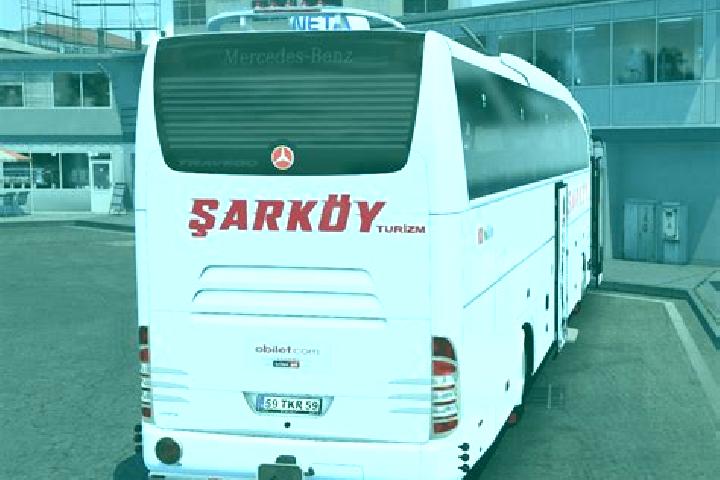 Riley, 37 — Escort in Sarkoey, Turkey