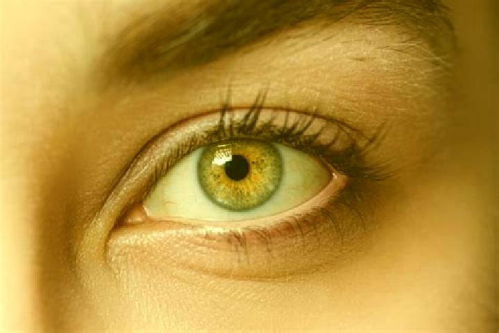 Riley, 38, a chestnut hazel-eyed mixed companion based in Kafr Bara. Offering BDSM, Striptease, Girlfriend Experience. Available for incall and outcall, day ...