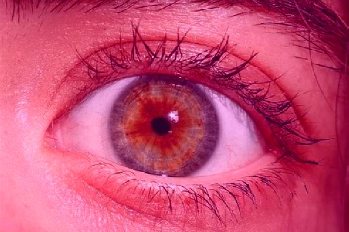 Riley, 38, a red hazel-eyed slavic companion based in Marlborough. Offering Striptease, GFE, A-Level. Available for incall and outcall, overnight bookings av...