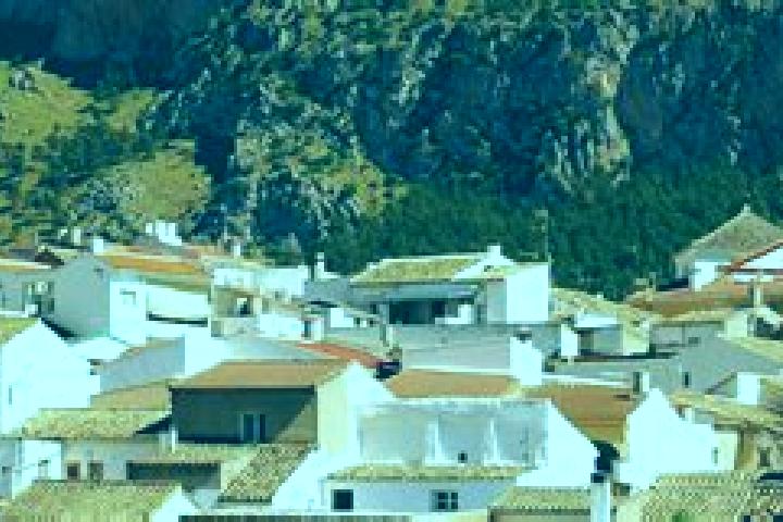 Riley, 38 — Escort in Cuevas de San Marcos, Spain