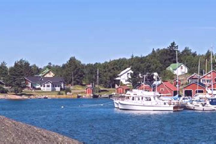 Riley, 38 — Escort in Foegloe, Aland Islands