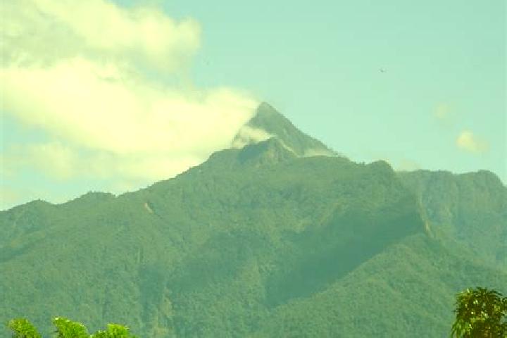 Riley, 38 — Escort in Joconal, Honduras