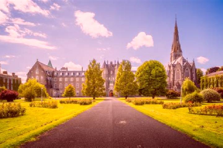 Riley, 38 — Escort in Maynooth, Ireland