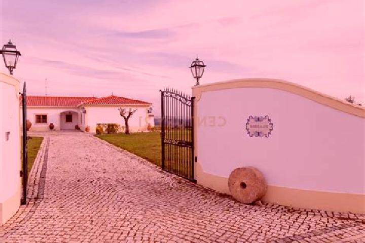 Riley, 38 — Escort in Moita dos Ferreiros, Portugal