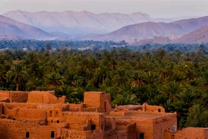 Riley, 38 — Escort in Sidi Yahya Zaer, Morocco