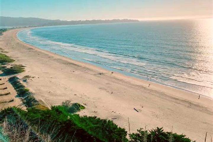 Riley, 38 — Escort in Stinson Beach, United States