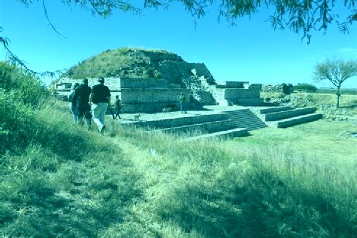 Riley, 38 — Escort in Teocaltitan de Guadalupe, Mexico