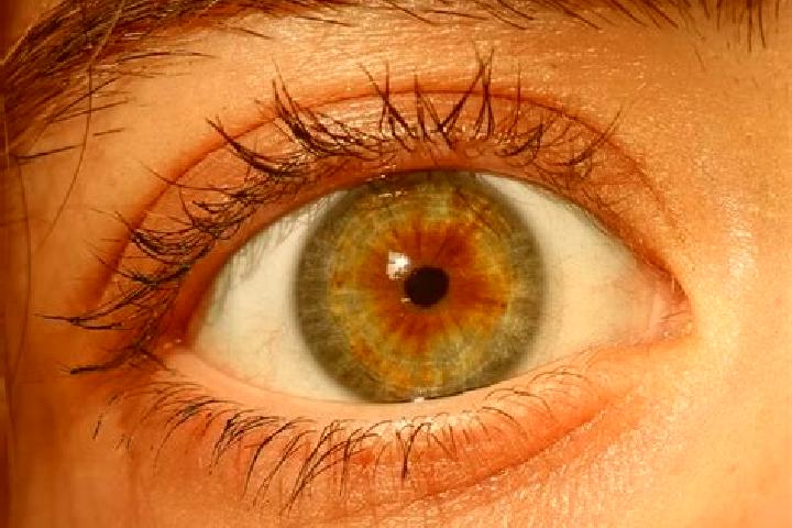 Riley, 39, a red hazel-eyed european companion based in Orcier. Offering Fetish, 69, Tantra, Overnight, OWO. Available for incall and outcall, day and evenin...