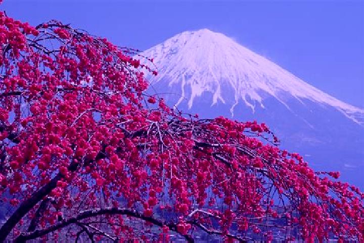 Riley, 39 — Escort in Oizumimachi, Japan