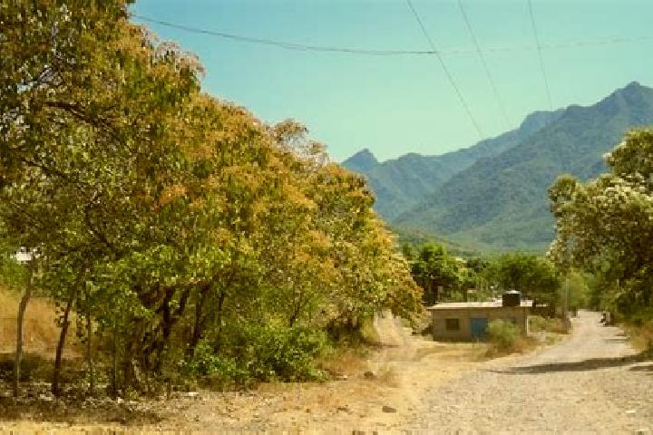 Riley, 39 — Escort in San Juan Chamacua, Mexico