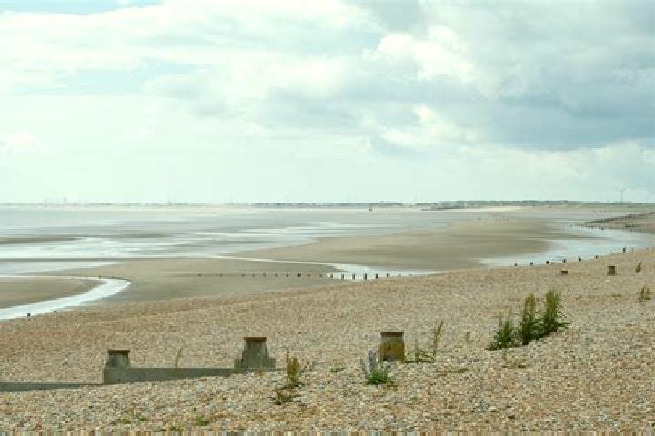 Riley, 39 — Escort in Winchelsea Beach, United Kingdom