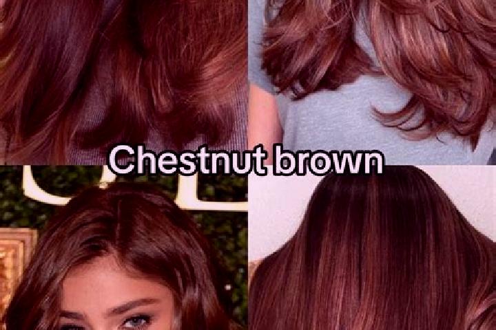 Rose, 20, a chestnut brown-eyed asian companion based in Jaerpas. Offering GFE, Roleplay, Fetish, Girlfriend Experience, BDSM. Available for incall and outca...