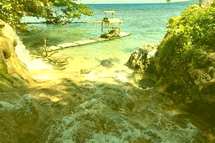 Rose, 20 — Escort in Above Rocks, Jamaica