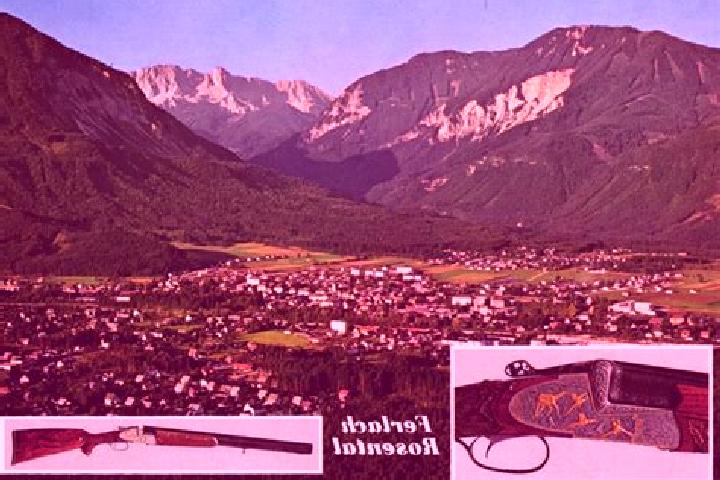 Rose, 20 — Escort in Ferlach, Austria
