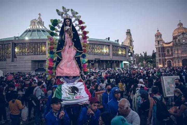 Rose, 20 — Escort in Fraccionamiento la Virgen, Mexico
