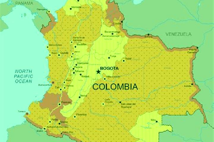 Rose, 20 — Escort in Hobo, Colombia