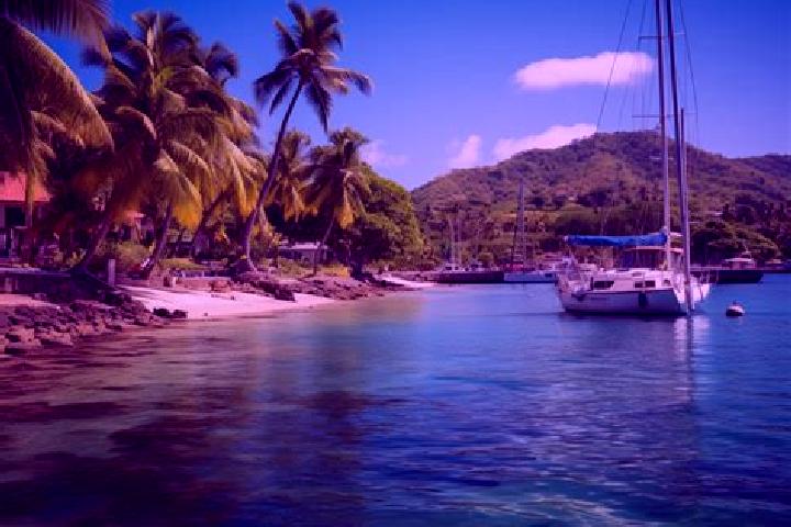 Rose, 20 — Escort in Le Marin, Martinique