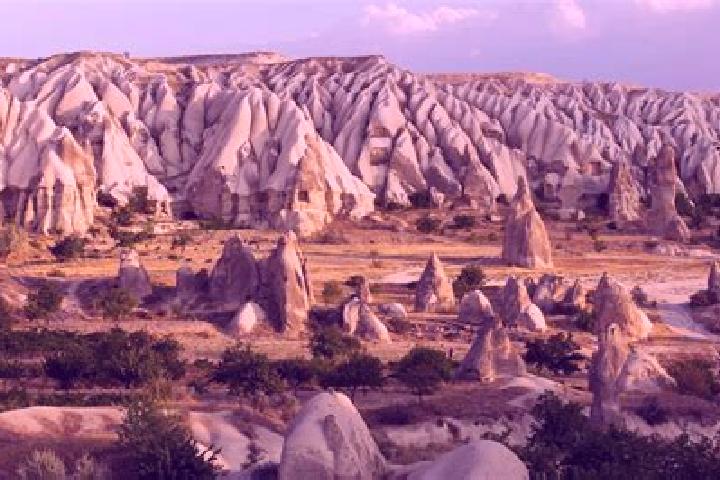 Rose, 20 — Escort in Nevsehir, Turkey