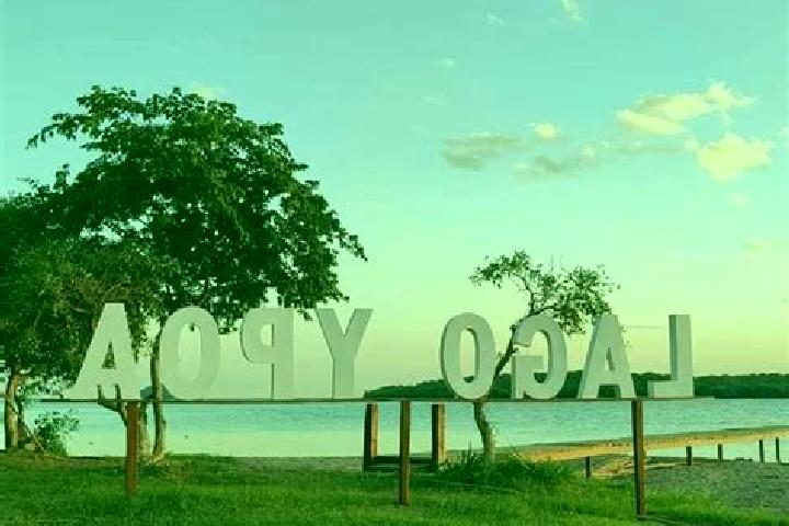 Rose, 20 — Escort in Quiindy, Paraguay