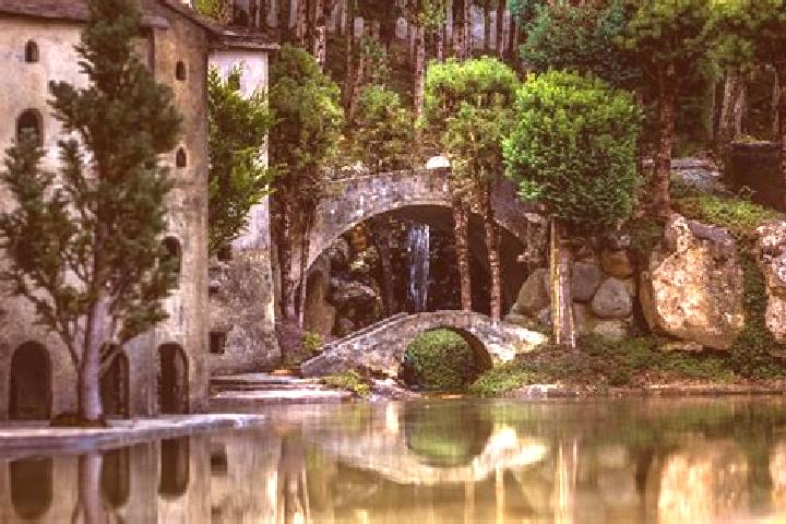 Rose, 20 — Escort in Remedello di Sopra, Italy