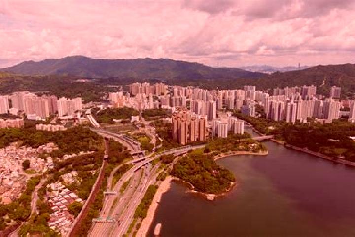 Rose, 20 — Escort in Tai Wo, Hong Kong