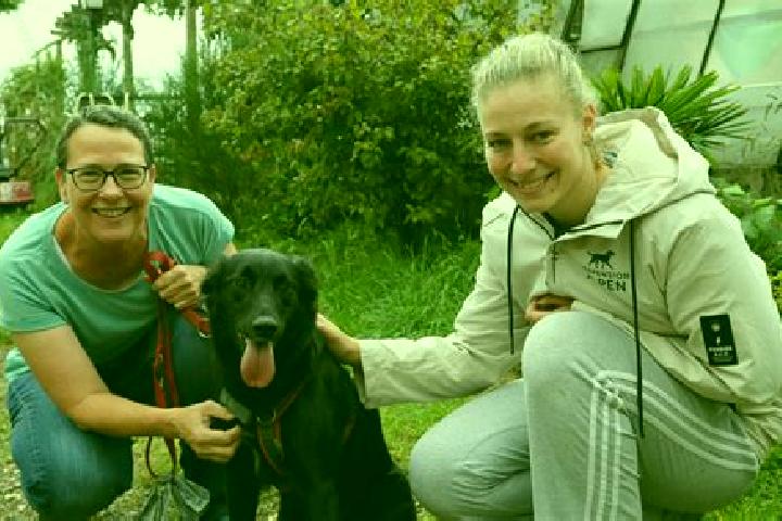 Rose, 20 — Escort in Testorf-Steinfort, Germany