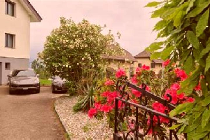 Rose, 20 — Escort in Viuz-la-Chiesaz, France