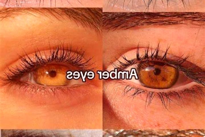 Rose, 21, a chestnut amber-eyed middle eastern companion based in Spinazzola. Offering A-Level, Roleplay, Couples. Available for incall and outcall, overnigh...