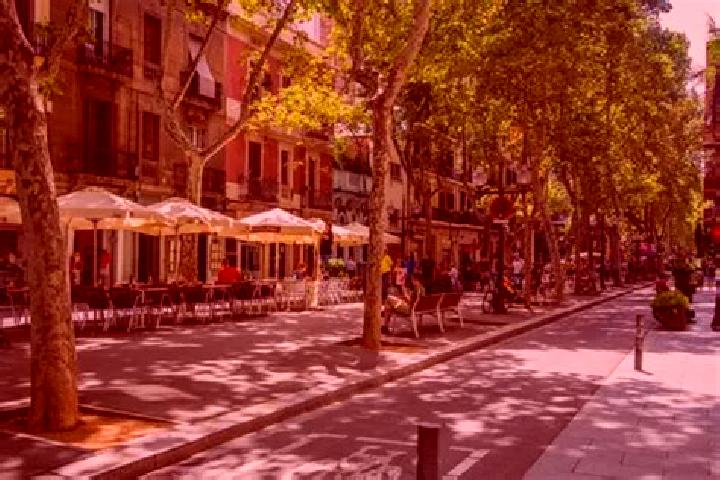Rose, 21 — Escort in Barri de Sant Andreu, Spain