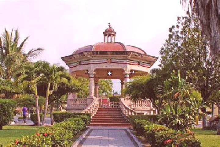 Rose, 21 — Escort in Buena Vista de Cuauhtemoc, Mexico