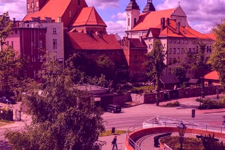 Rose, 21 — Escort in Chojnice, Poland