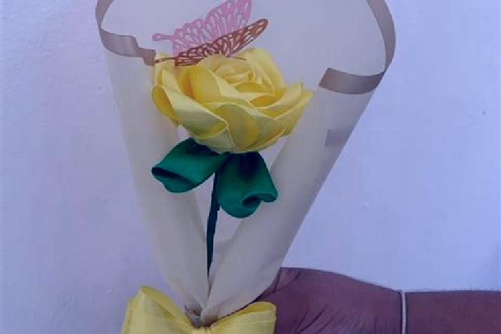 Rose, 21 — Escort in Cuesta Amarilla, Mexico