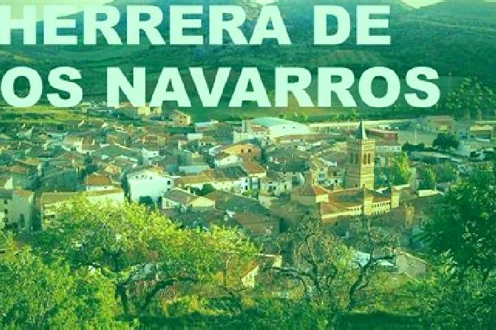 Rose, 21 — Escort in Herrera de los Navarros, Spain