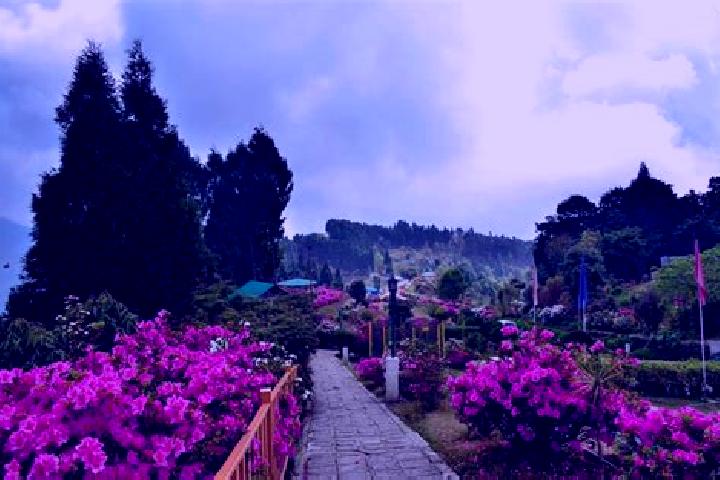 Rose, 21 — Escort in Kalimpong, Kruketi, India