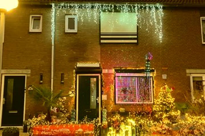 Rose, 21 — Escort in Noordgeest, Netherlands